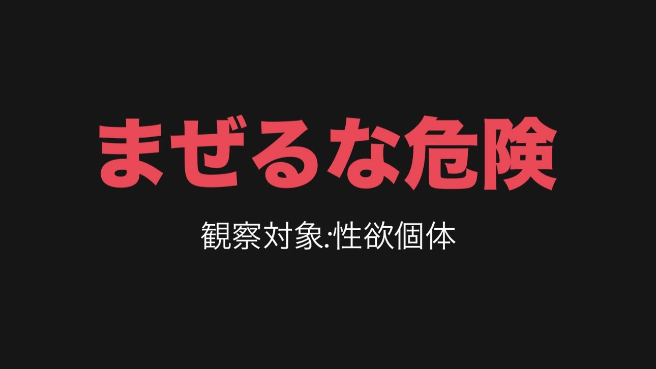 まぜるな危険　観察対象：性欲個体